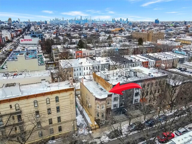 65 Granite St, Brooklyn, NY 11207 - skyline view