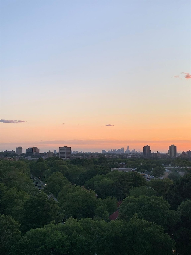 152-18 Union Tpke Unit 12T, Flushing, NY 11367 - view of city
