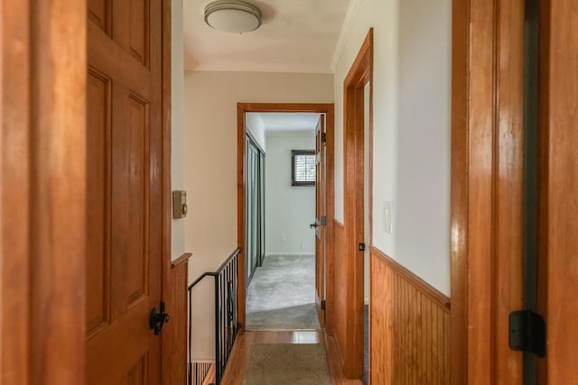 3 N Jackson Rd, Poughkeepsie, NY 12603 - corridor featuring crown molding, a wainscoted wall, and wood finished floors