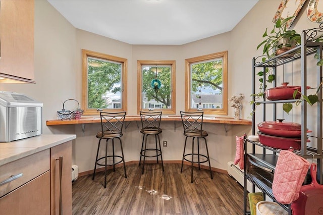 8 Pearl St, Bethpage, NY 11714 - dining room with dark wood-style flooring, plenty of natural light, and a baseboard radiator
