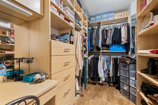 8 Pearl St, Bethpage, NY 11714 - view of walk in closet