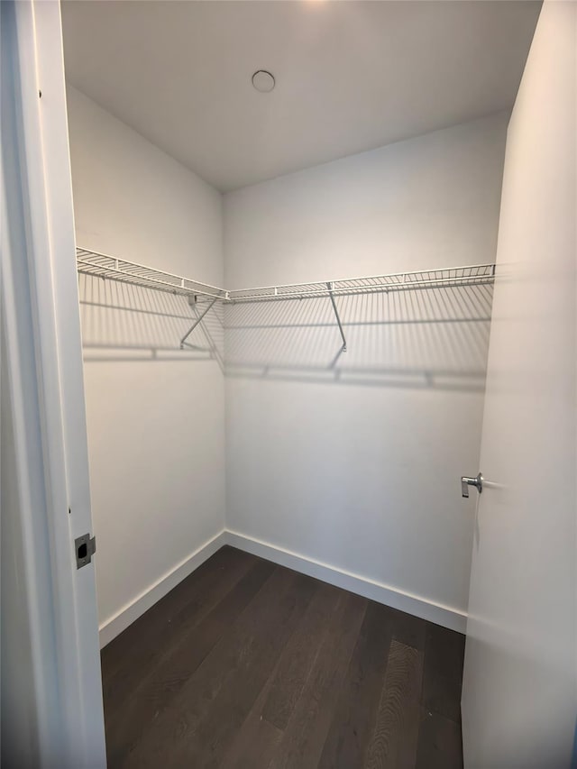 131-05 40th Rd Unit 17L, Flushing, NY 11354 - walk in closet featuring dark wood finished floors