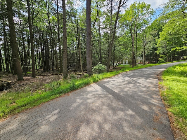 Highland Ave, Smallwood, NY 12788