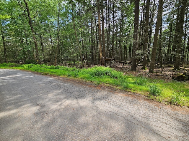 Highland Ave, Smallwood, NY 12788