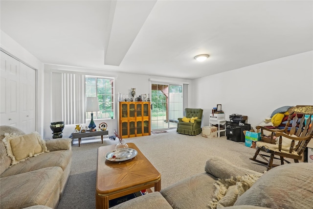 1105 Farmdale Rd, Brewster, NY 10509 - living room with carpet flooring