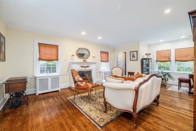 11 Loel Ct, Rockville Centre, NY 11570 - living room featuring healthy amount of natural light, a glass covered fireplace, radiator, wood finished floors, and recessed lighting