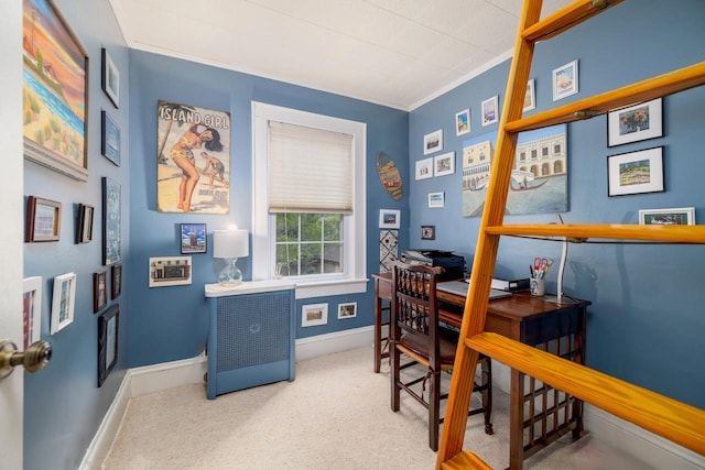 11 Loel Ct, Rockville Centre, NY 11570 - office featuring carpet and crown molding