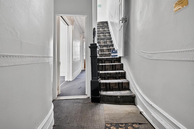 17 Palmetto St, Brooklyn, NY 11221 - stairs featuring carpet floors and baseboards