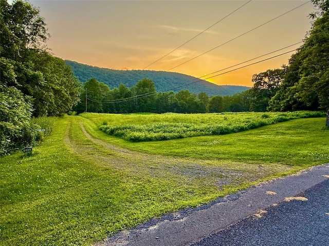 222 Stockport Rd, Hancock, NY 13783 - photo 2