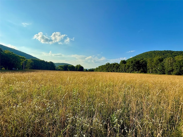 222 Stockport Rd, Hancock, NY 13783 - photo 3
