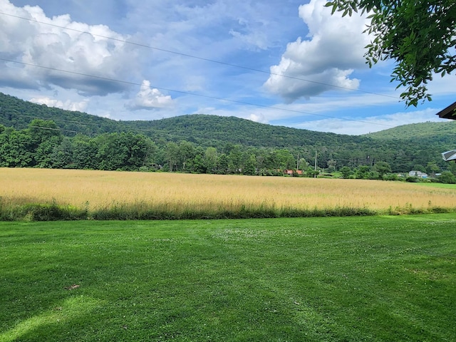 222 Stockport Rd, Hancock, NY 13783 - photo 12