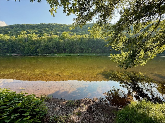 222 Stockport Rd, Hancock, NY 13783 - photo 19