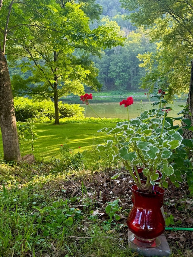 222 Stockport Rd, Hancock, NY 13783 - photo 20