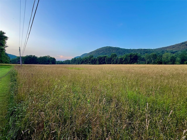 222 Stockport Rd, Hancock, NY 13783 - photo 26