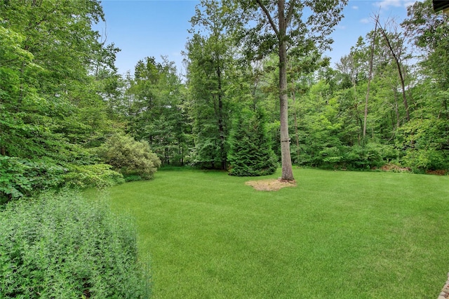 8 Bella Vista Dr, Modena, NY 12548 - photo 42
