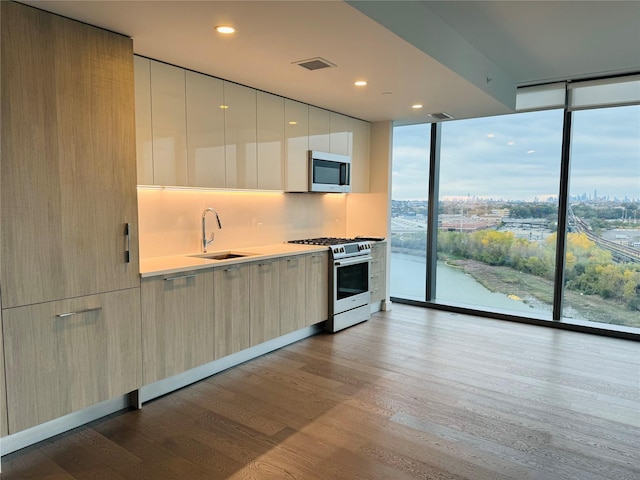 13101 40th Rd Unit 12M, Flushing, NY 11354 - kitchen with stainless steel appliances, modern cabinets, floor to ceiling windows, wood finished floors, and light countertops