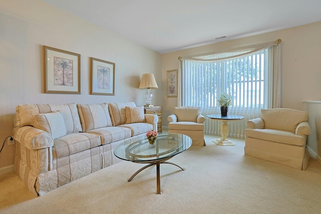 30 Windsor Cir Unit 30, New City, NY 10956 - living room with carpet floors and baseboards