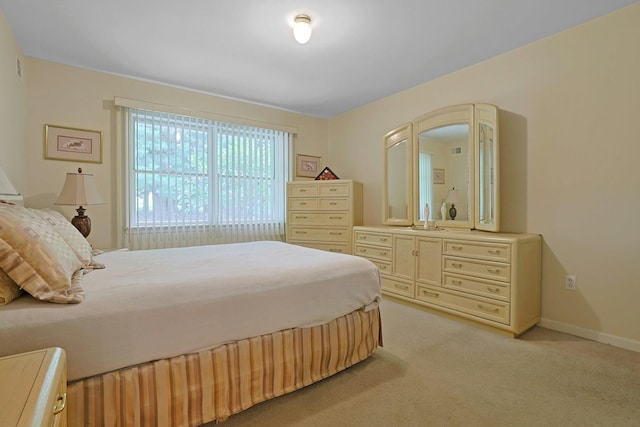 30 Windsor Cir Unit 30, New City, NY 10956 - bedroom featuring light carpet and a sink