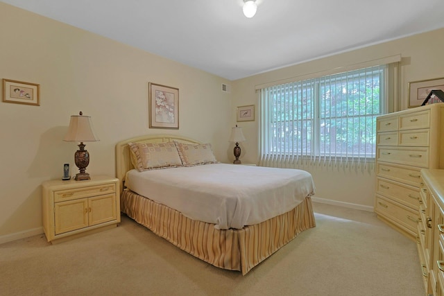 30 Windsor Cir Unit 30, New City, NY 10956 - bedroom with baseboards and light carpet