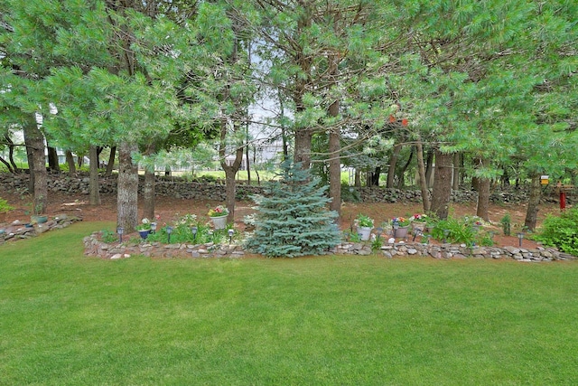 30 Windsor Cir Unit 30, New City, NY 10956 - view of grassy yard