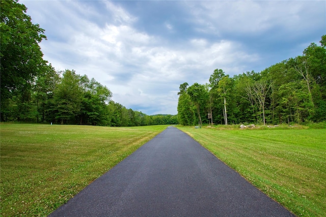 2486 County Route 1, Westtown, NY 10998 - photo 3