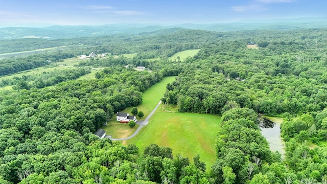 2486 County Route 1, Westtown, NY 10998 - photo 34