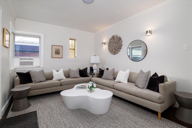 22324 Murdock Ave, Queens Village, NY 11429 - living room with ornamental molding and cooling unit