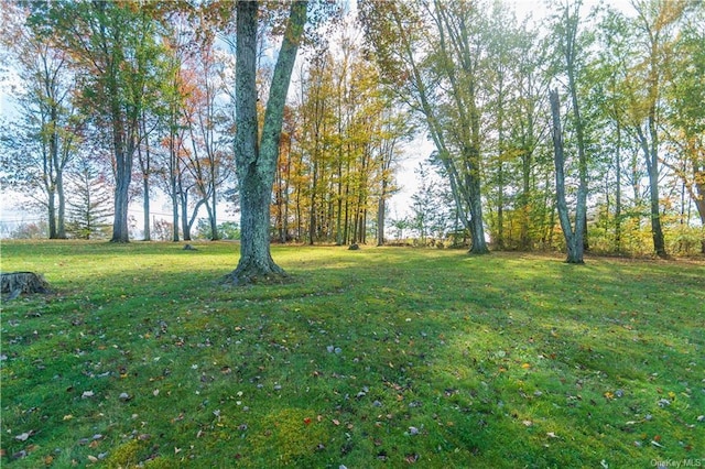 9 Low Rd, Wallkill, NY 12589 - view of green lawn
