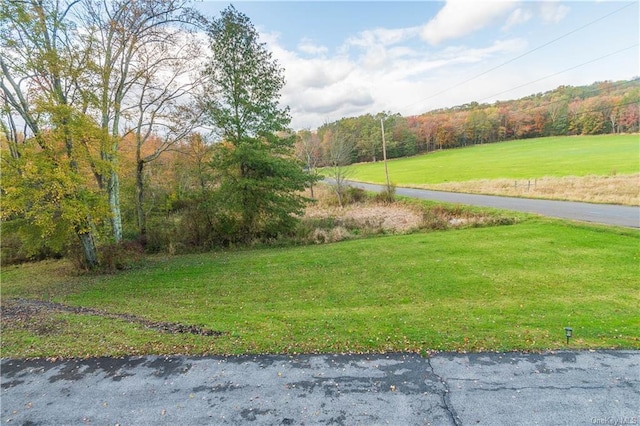 9 Low Rd, Wallkill, NY 12589 - view of home's community with a lawn
