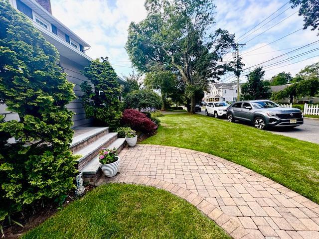 987 E Prospect St, Woodmere, NY 11598 - view of green lawn