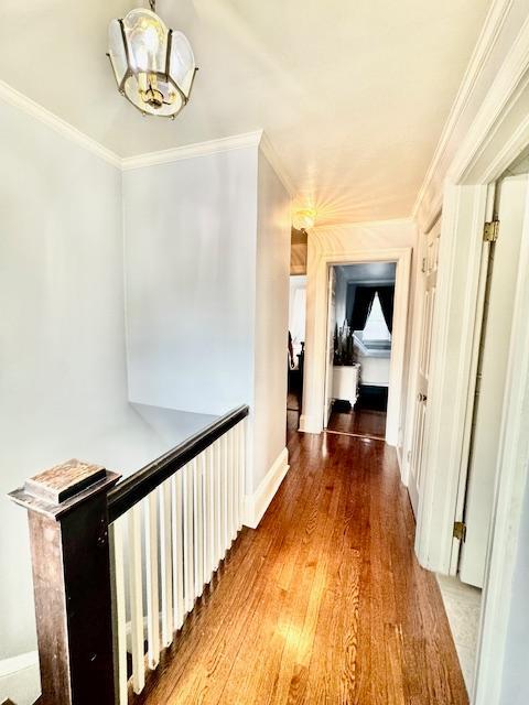 987 E Prospect St, Woodmere, NY 11598 - hallway with wood finished floors, ornamental molding, and a chandelier