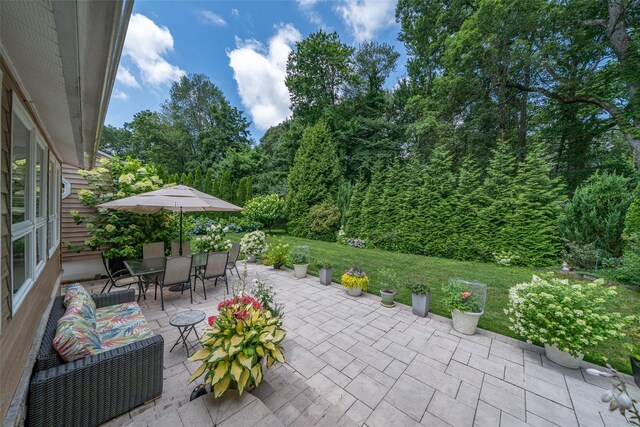 130 Wood Hollow Ln, New Rochelle, NY 10804 - photo 30