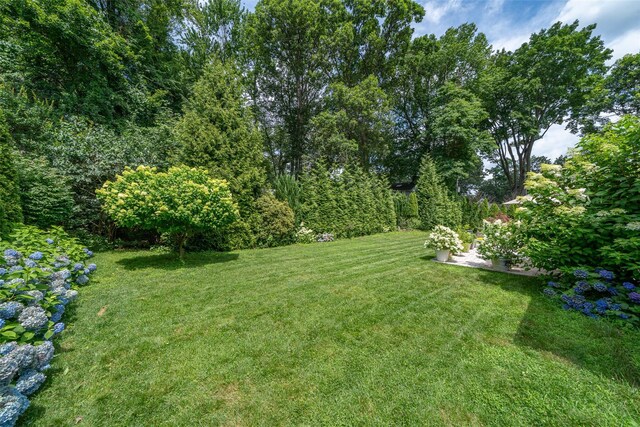 130 Wood Hollow Ln, New Rochelle, NY 10804 - photo 33