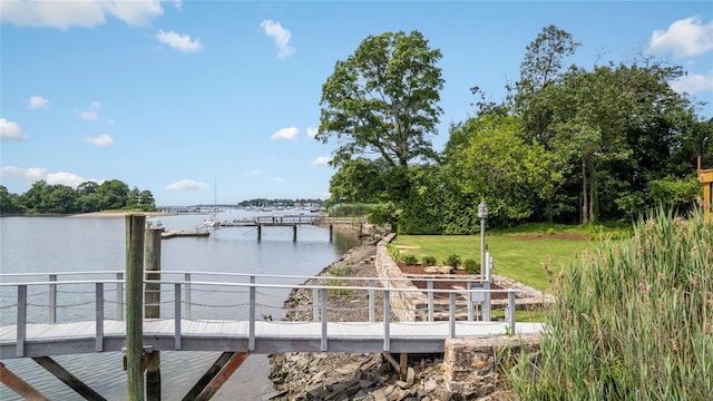 1160 Greacen Point Rd, Mamaroneck, NY 10543 - photo 41