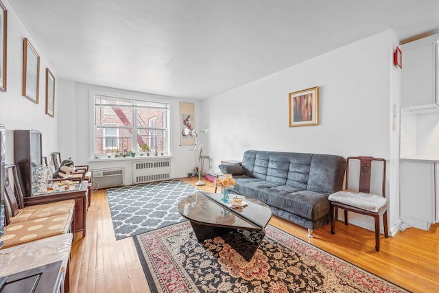 142-05 Roosevelt Ave Unit 627, Flushing, NY 11354 - living room with light wood-style flooring and radiator heating unit