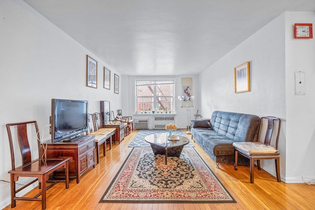 142-05 Roosevelt Ave Unit 627, Flushing, NY 11354 - living room with light wood finished floors and radiator heating unit