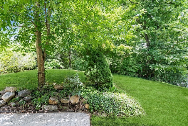 105 Sprague Rd, Scarsdale, NY 10583 - photo 27