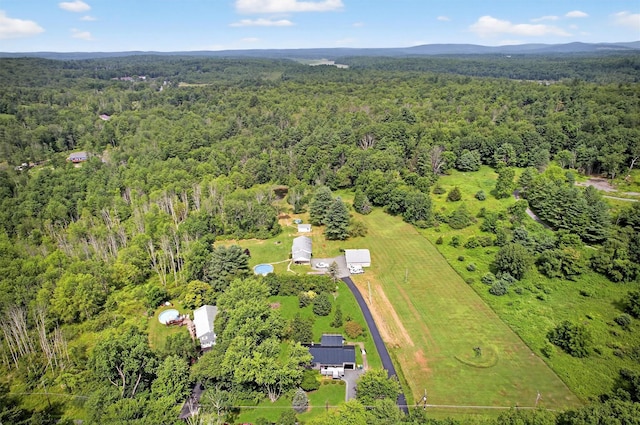 130 Marcus Rd, Ellenville, NY 12428 - aerial view of property and surrounding area with a forest