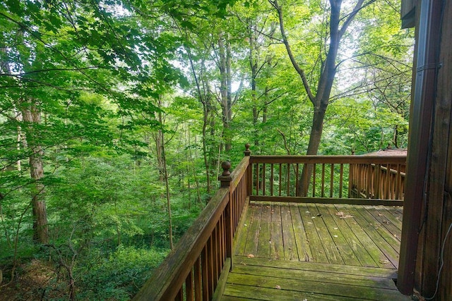 6 Old W Dorsey Ln, Hyde Park, NY 12538 - photo 23
