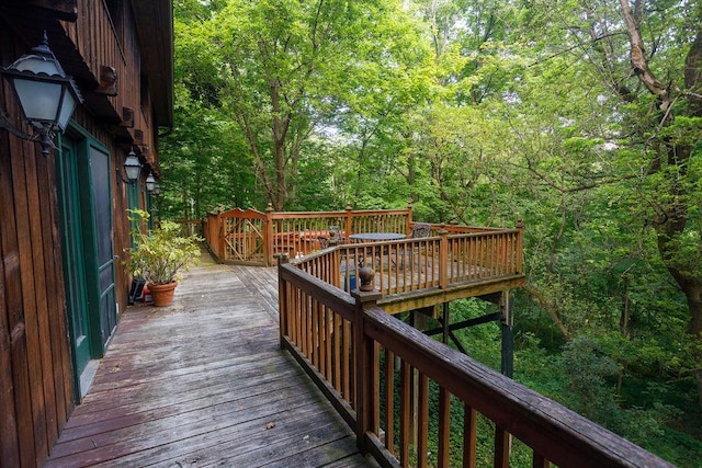 6 Old W Dorsey Ln, Hyde Park, NY 12538 - photo 24