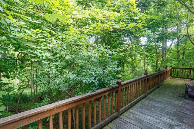 6 Old W Dorsey Ln, Hyde Park, NY 12538 - photo 27