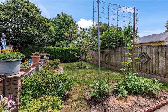 227 Randall Ave, Lawrence, NY 11559 - view of yard