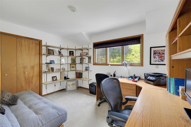 3 Farese Way, Amawalk, NY 10501 - photo 31