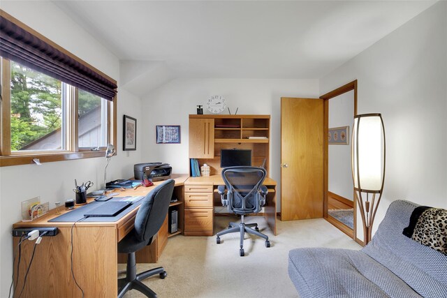 3 Farese Way, Amawalk, NY 10501 - photo 32