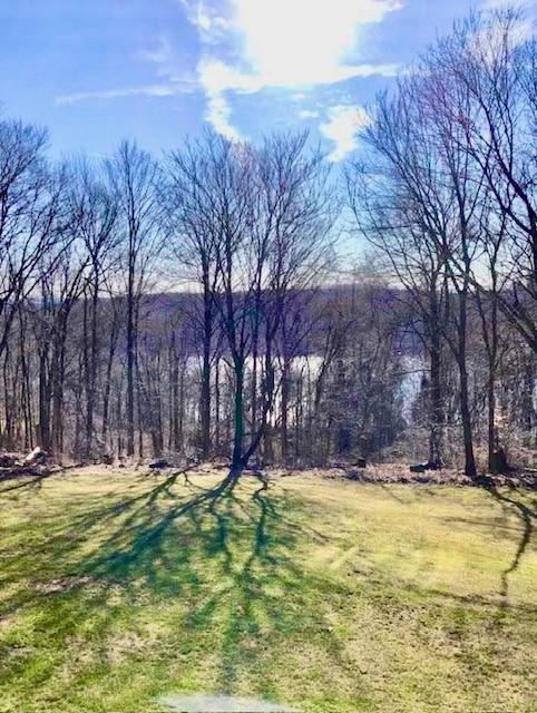3 Farese Way, Amawalk, NY 10501 - photo 45