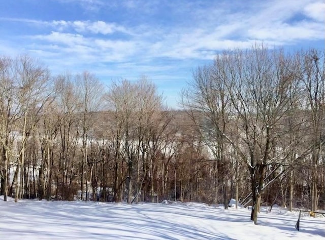 3 Farese Way, Amawalk, NY 10501 - photo 46