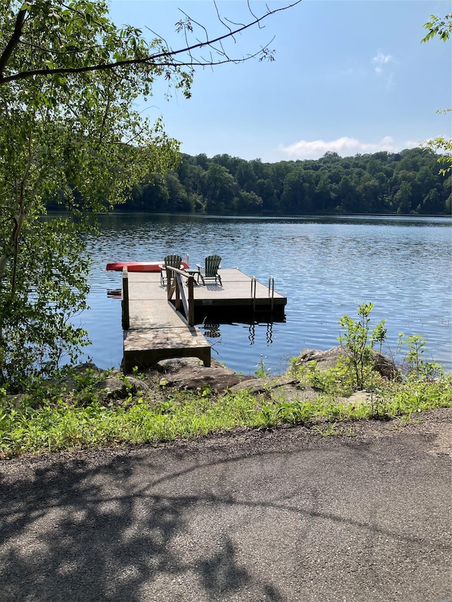 Adam Wagner Ln, Mahopac, NY 10541