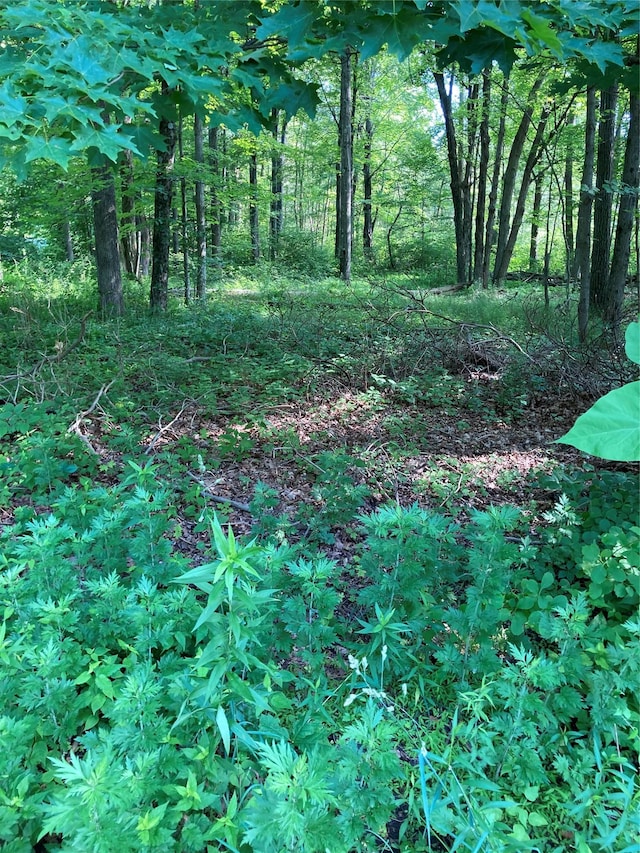 Adam Wagner Ln, Mahopac, NY 10541