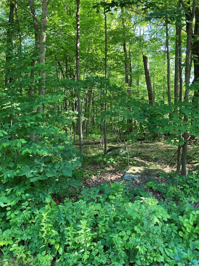 Adam Wagner Ln, Mahopac, NY 10541