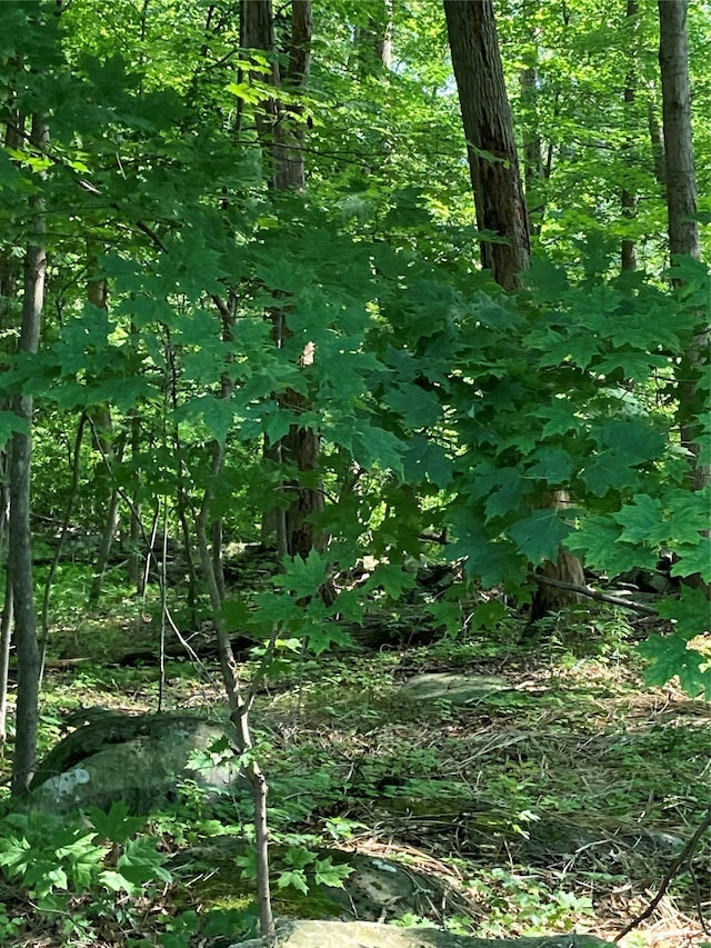 Adam Wagner Ln, Mahopac, NY 10541
